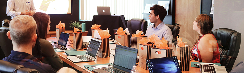 Professional Courses Search